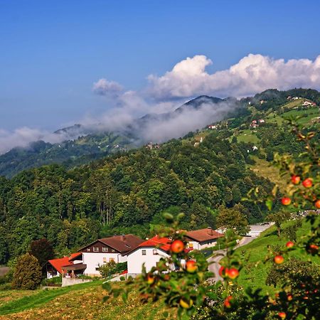 Farm Stay Pirc Laško Exteriör bild