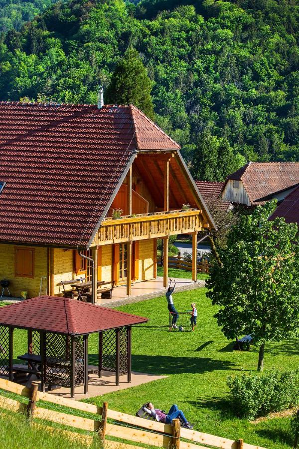 Farm Stay Pirc Laško Exteriör bild