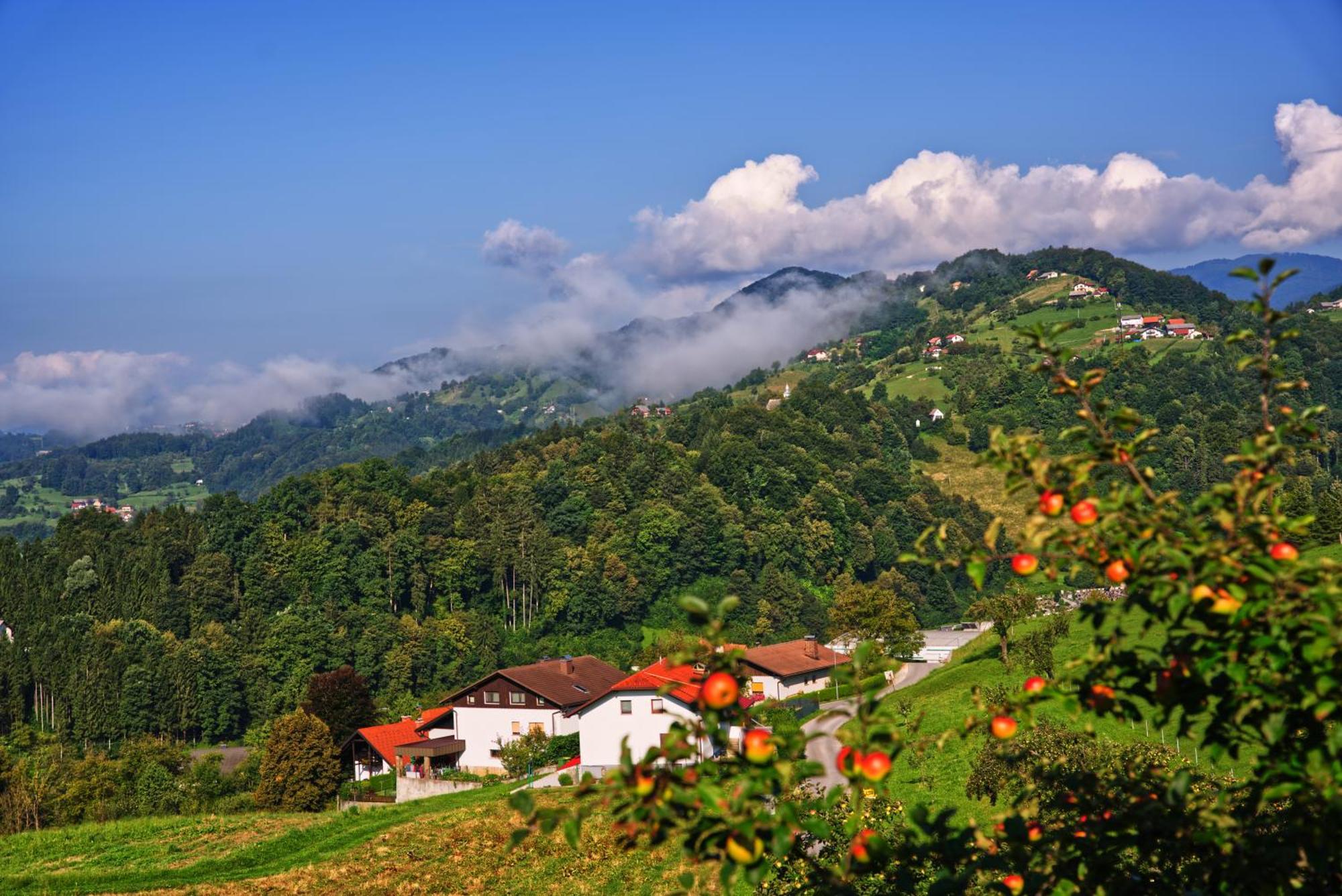 Farm Stay Pirc Laško Exteriör bild