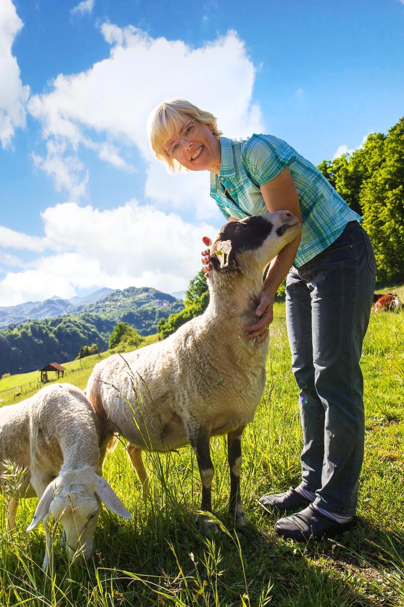 Farm Stay Pirc Laško Exteriör bild