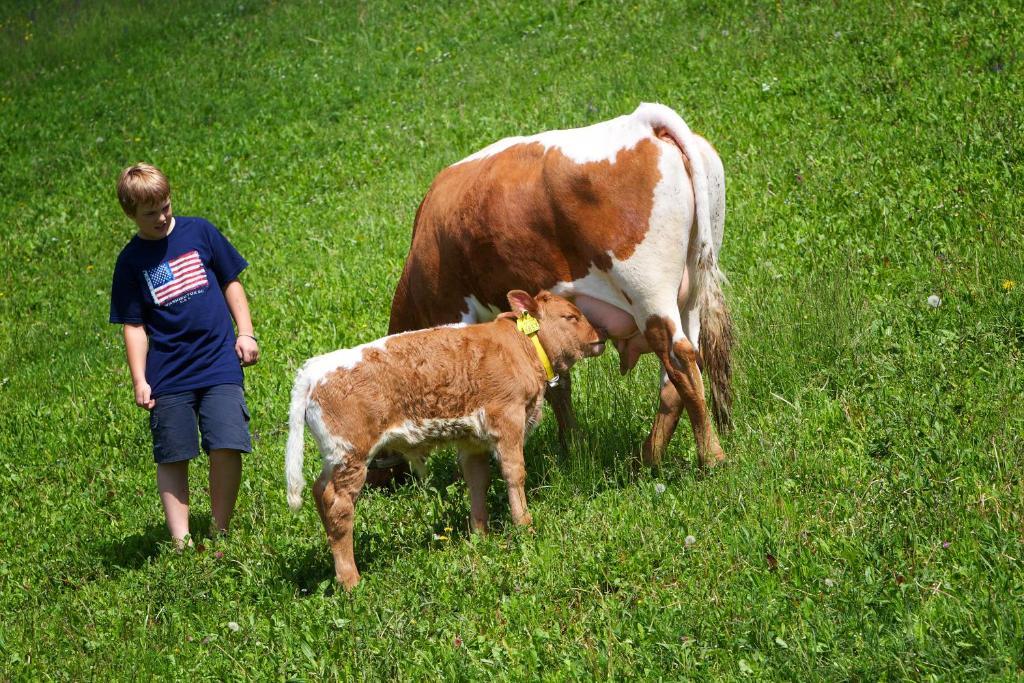 Farm Stay Pirc Laško Exteriör bild