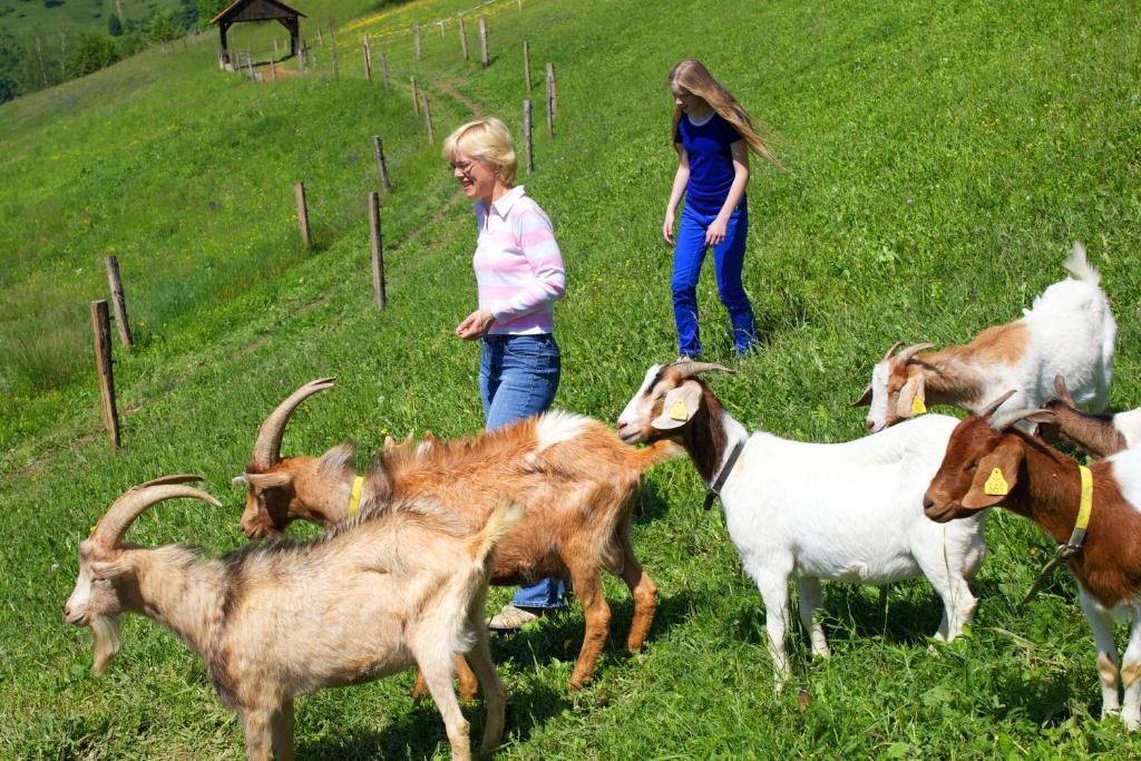 Farm Stay Pirc Laško Exteriör bild