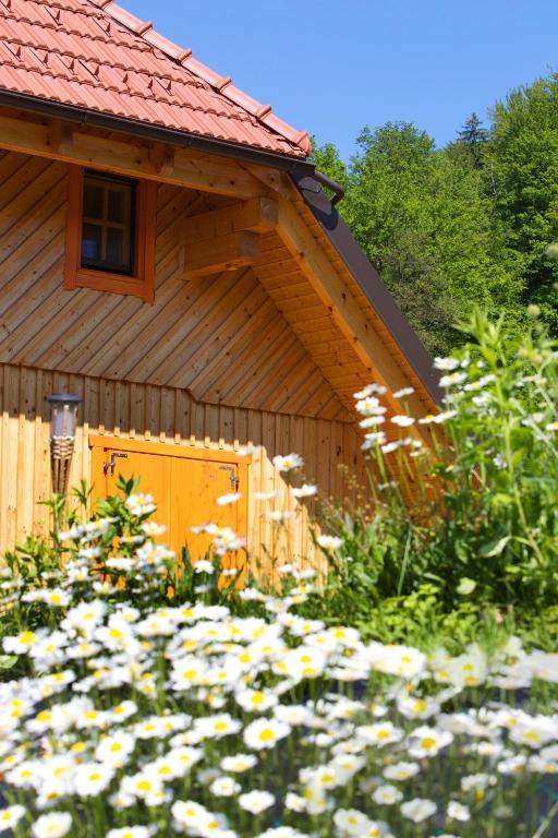 Farm Stay Pirc Laško Exteriör bild